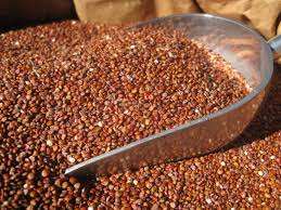 Red Quinoa Bulk 12kg Evoo QF (2 Day Pre Order)