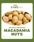 Macadamia Nut Raw Halves & Pieces 1kg Bag EVOO (2)