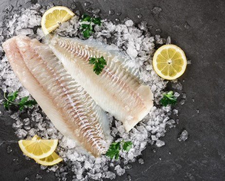 Goldband Snapper Fillet Skinless 500/800 5kg Carton Frozen FFTS