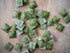 Handmade Ricotta & Spinach Ravioli 1kg Frozen (Pre order 3 days) Golden Ravioli