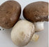Vegan Shroomi (Mushroom) Burger GF (115g x 40) Frozen Carton Made by Kade