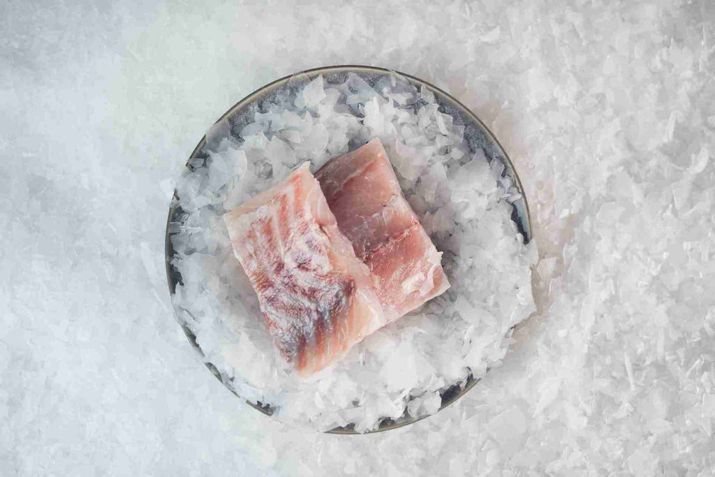 Barramundi Fish Fillet Skinless Frozen 100-200gm 5kg Shore Mariner