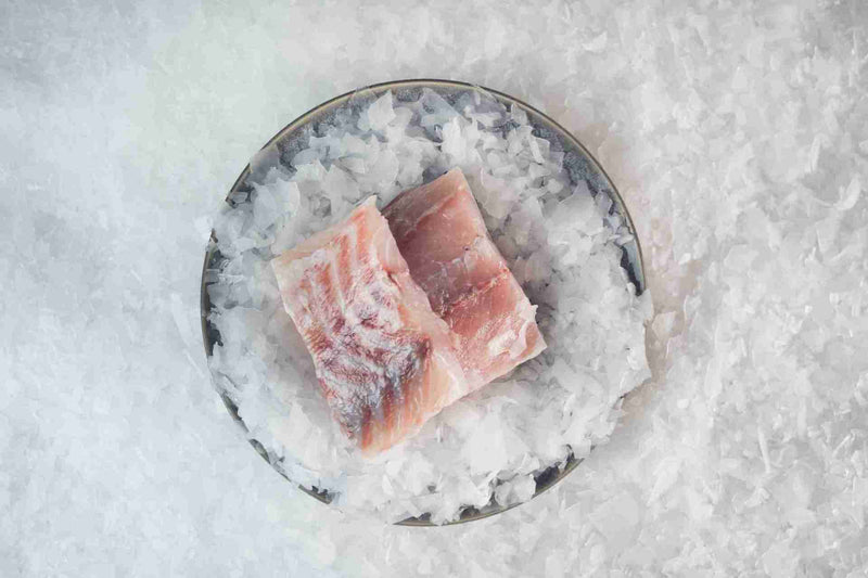 Barramundi Fish Fillet Skinless Frozen 100-200gm 5kg Shore Mariner