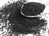 Nigella Seeds Black (Cumin Seeds) 20kg Bag Evoo QF (Pre Order)