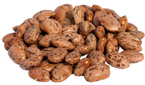 Pinto Beans Dried 25kg Bag Evoo QF
