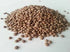 Lentils Brown 25kg bag EVOO (pre order)