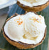 Ice Cream Coconut 5lt Tub Il Gelato (Pre order 2 days)