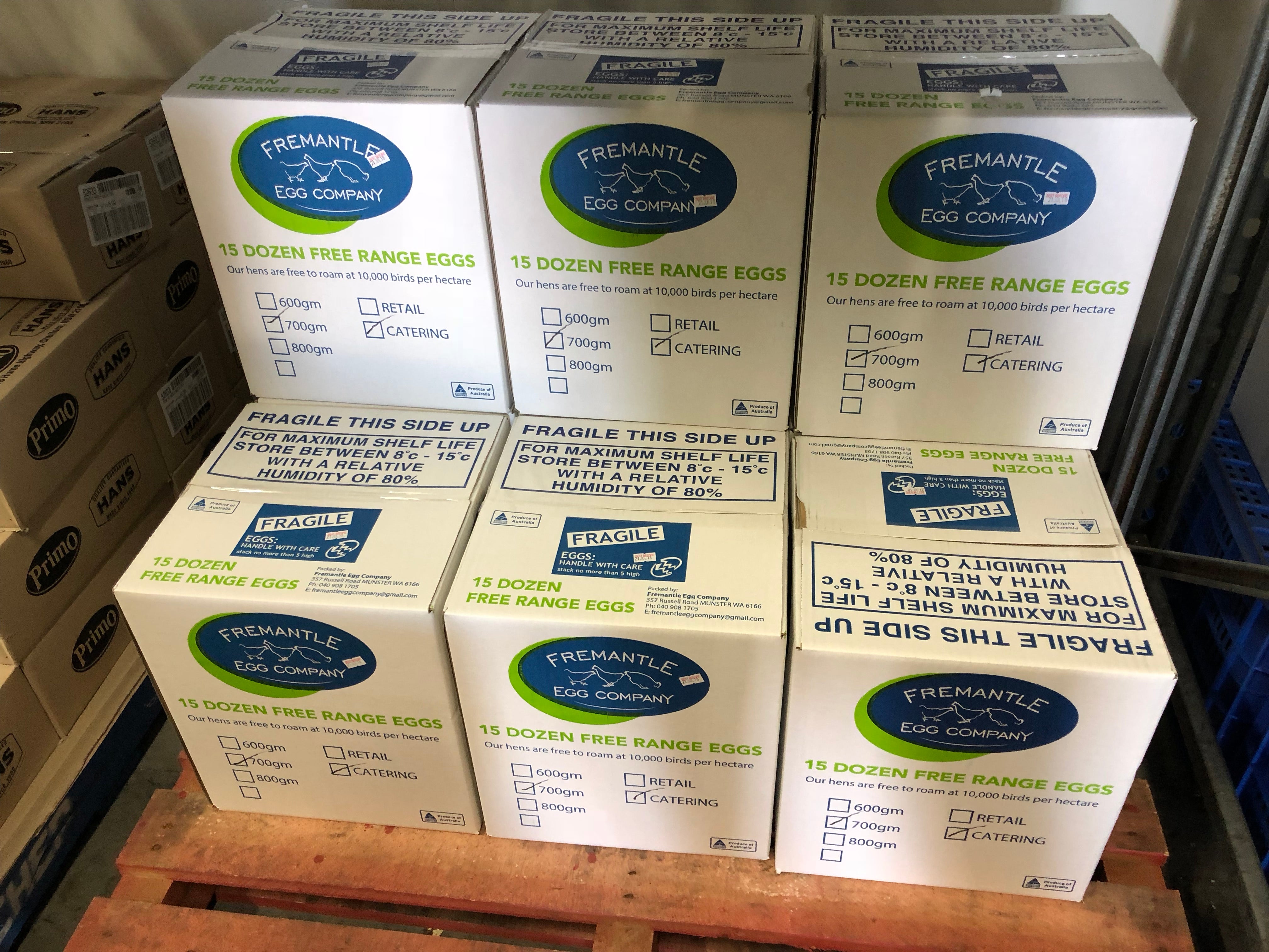 Eggs Free Range 700g / 15 Dozen Catering Pack Fremantle Egg Company