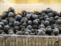 Black Currants Frozen 1kg Bag Harvestime