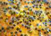 Passionfruit Pulp with Seeds Frozen 1kg Harvestime