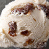 Ice Cream Rum & Raisin 5lt Tub Il Gelato