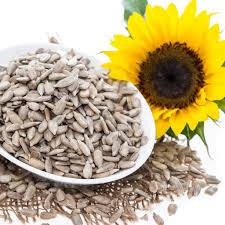 Sunflower Seeds 25kg Bag EVOO QF